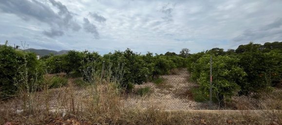  Land in Benidorm, Spain No. 189096 11