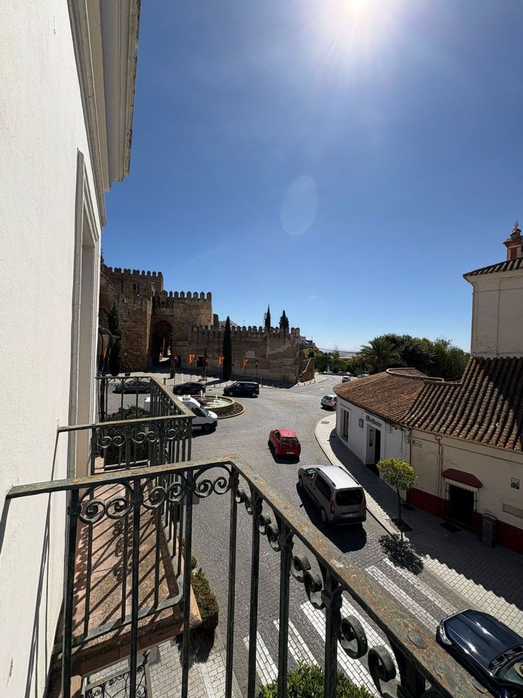 8 غرف نوم منزل في Andalusia, Spain رقم 231934