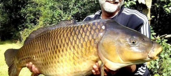 Земельный участок 15350м² в Ле Круасти, Франция № 291092 20