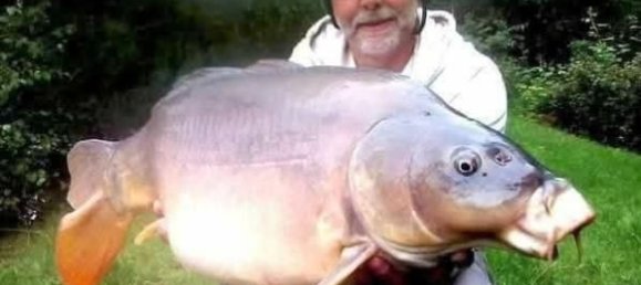 Земельный участок 15350м² в Ле Круасти, Франция № 291092 18