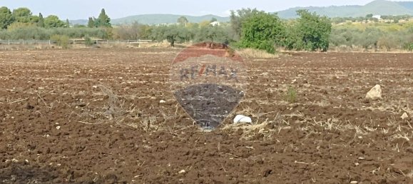 Дом с 10 спальнями в Кьярамонте Гульфи, Италия № 352232 16