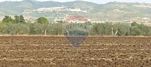 Дом с 10 спальнями в Кьярамонте Гульфи, Италия № 352232 18