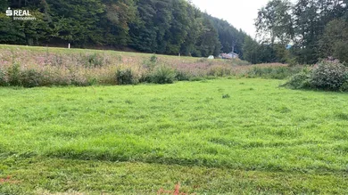  Land in Kirchschlag in der Buckligen Welt, Austria No. 122361