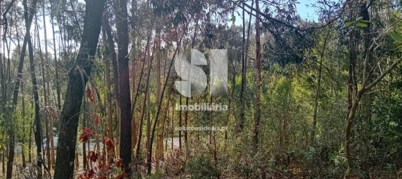 Terrain à Sobreira, Portugal 1420m² No. 55070 15