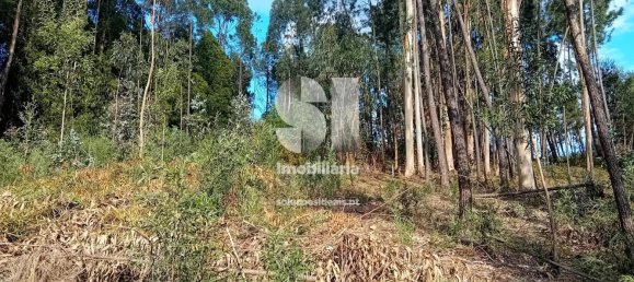 Terrain à Sobreira, Portugal 1420m² No. 55070 18