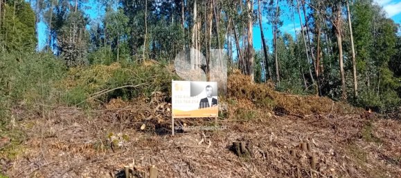 Terrain à Sobreira, Portugal 1420m² No. 55070 5