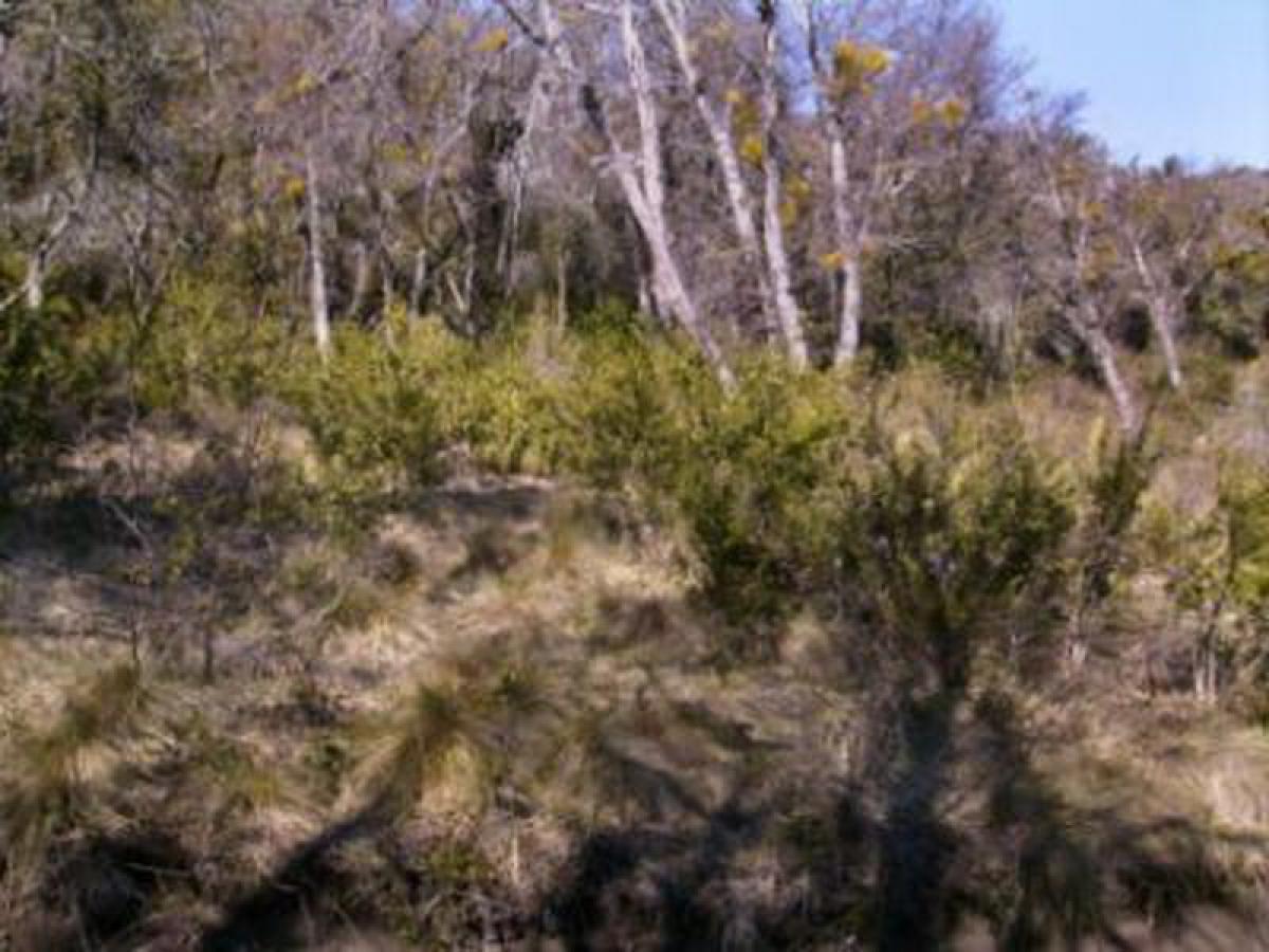  قطعة أرض في Neuquen, Argentina رقم 45811