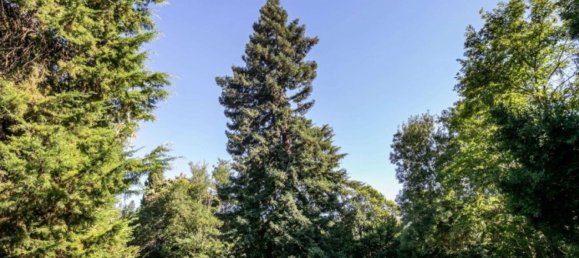 10 Schlafzimmer Schlösser in Elvas, Portugal, Nr. 103759 18