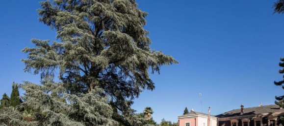 10 Schlafzimmer Schlösser in Elvas, Portugal, Nr. 103759 24