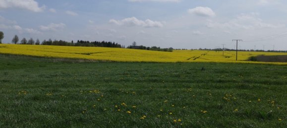  Land in Gustrow, Germany No. 222794 3