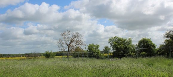 4 bedrooms House in Morvilliers, France No. 101079 11