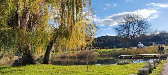 Terrain à Santa Clara a Velha, Portugal 494250m² No. 46798 14