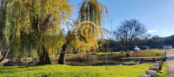 Terrain à Santa Clara a Velha, Portugal 494250m² No. 46798 10