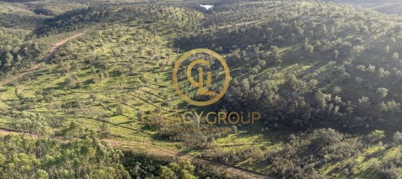 Terrain à Santa Clara a Velha, Portugal 494250m² No. 46798 5