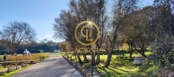 Terrain à Santa Clara a Velha, Portugal 494250m² No. 46798 8