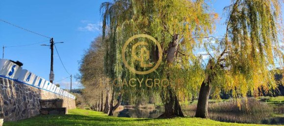 Terrain à Santa Clara a Velha, Portugal 494250m² No. 46798 9