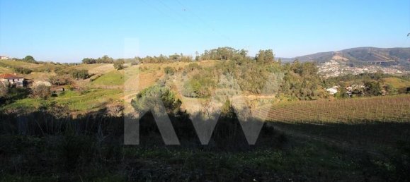  Land in Coimbra, Portugal No. 16544 4