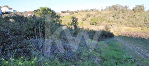  Land in Coimbra, Portugal No. 16544 9