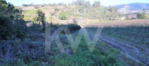  Land in Coimbra, Portugal No. 16544 8