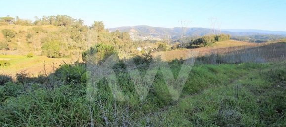  Land in Coimbra, Portugal No. 16544 6