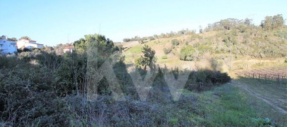  Land in Coimbra, Portugal No. 16544 7