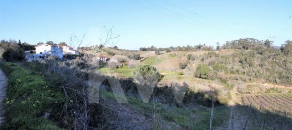  Land in Coimbra, Portugal No. 16544 3