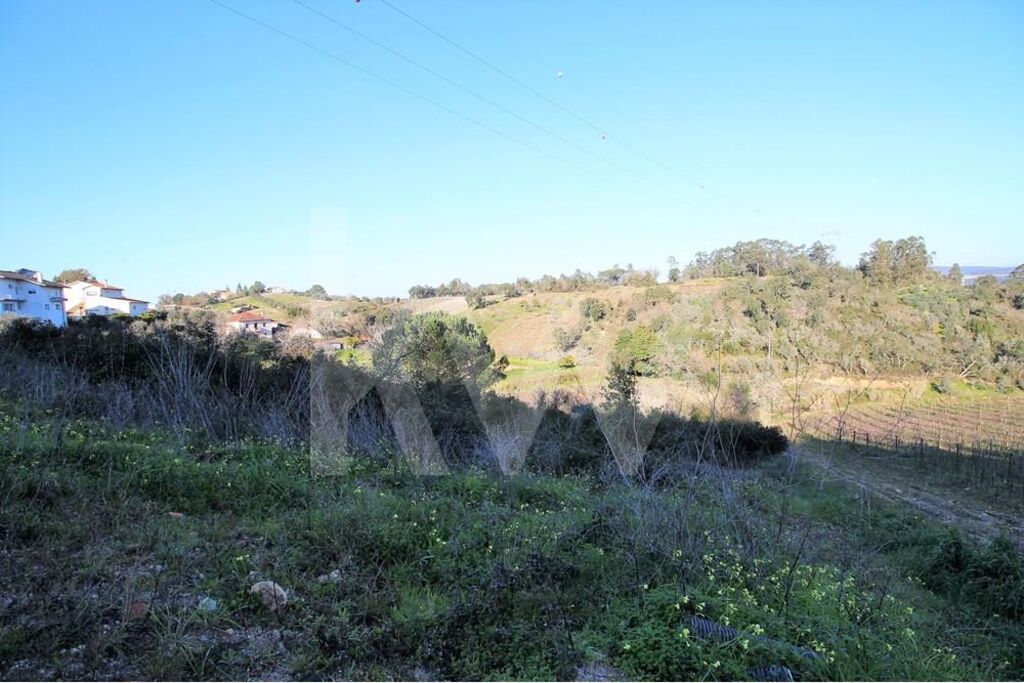  Land in Coimbra, Portugal No. 16544