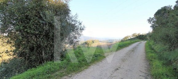  Land in Coimbra, Portugal No. 16544 5