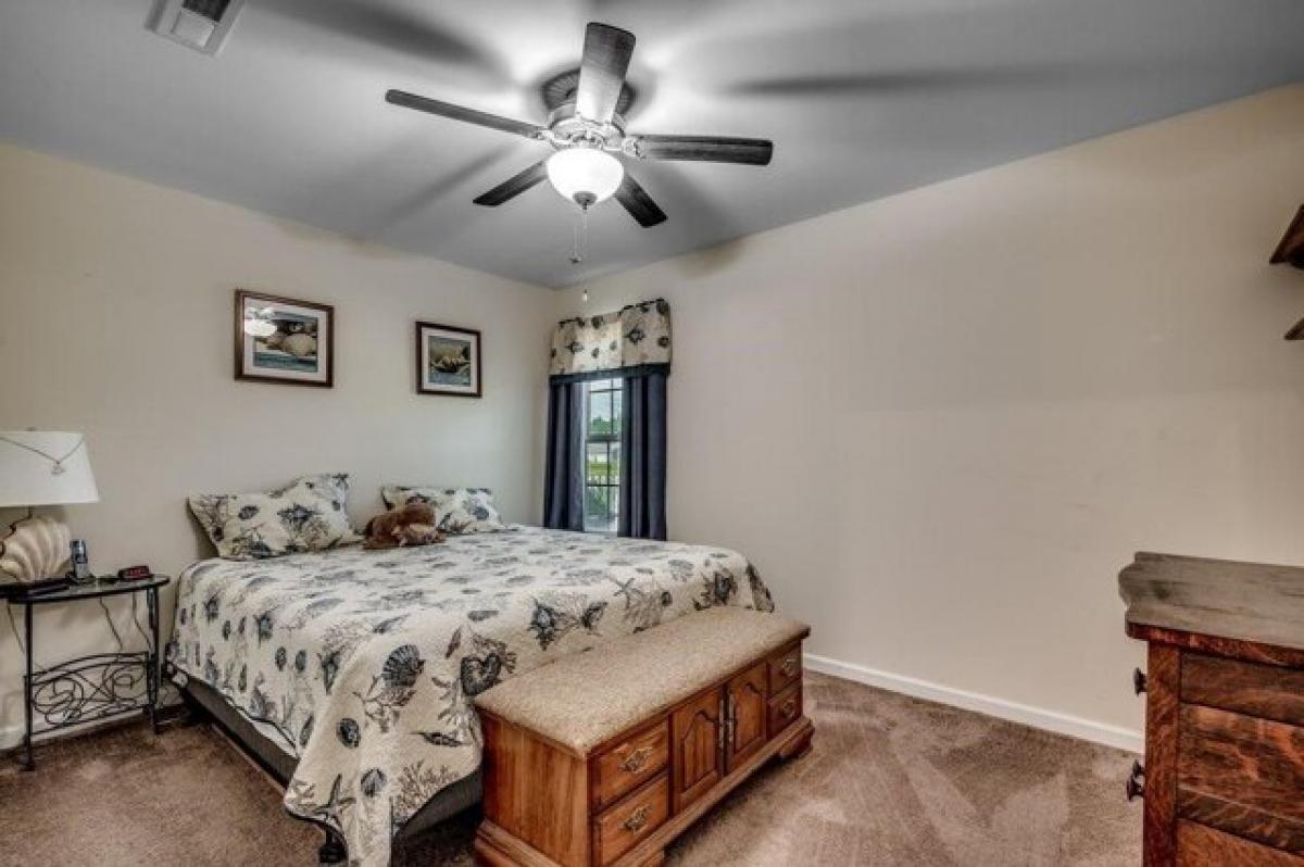 3 غرف نوم منزل في Conway, USA رقم 399613