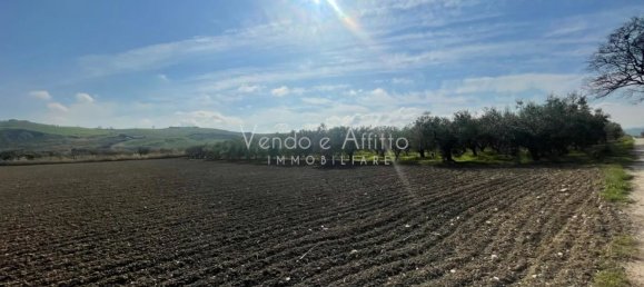 Grundstück in San Salvo, Italy 4900m², Nr. 160172 2