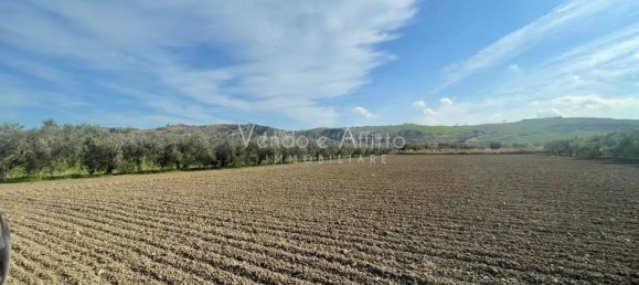 Grundstück in San Salvo, Italy 4900m², Nr. 160172 3