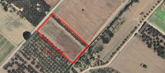 Grundstück in San Salvo, Italy 4900m², Nr. 160172 4