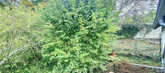 3 Schlafzimmer Haus in Aubepierre-sur-Aube, France, Nr. 53384 7