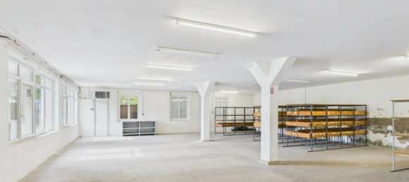 Propriété commerciale à Waldighofen, France 1243m² No. 344688 6