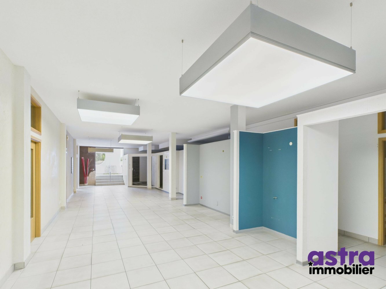 Propriété commerciale à Waldighofen, France 1243m² No. 344688