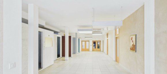 Propriété commerciale à Waldighofen, France 1243m² No. 344688 4