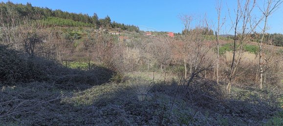 2 Schlafzimmer Haus in Castanheira de Pera, Portugal, Nr. 17586 11