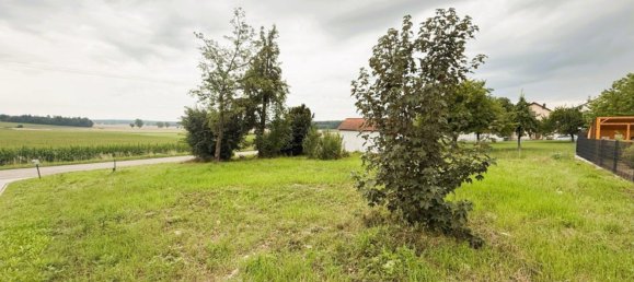 Terreno en Eichstatt, Germany No. 243313 4