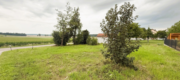 Terreno en Eichstatt, Germany No. 243313 2