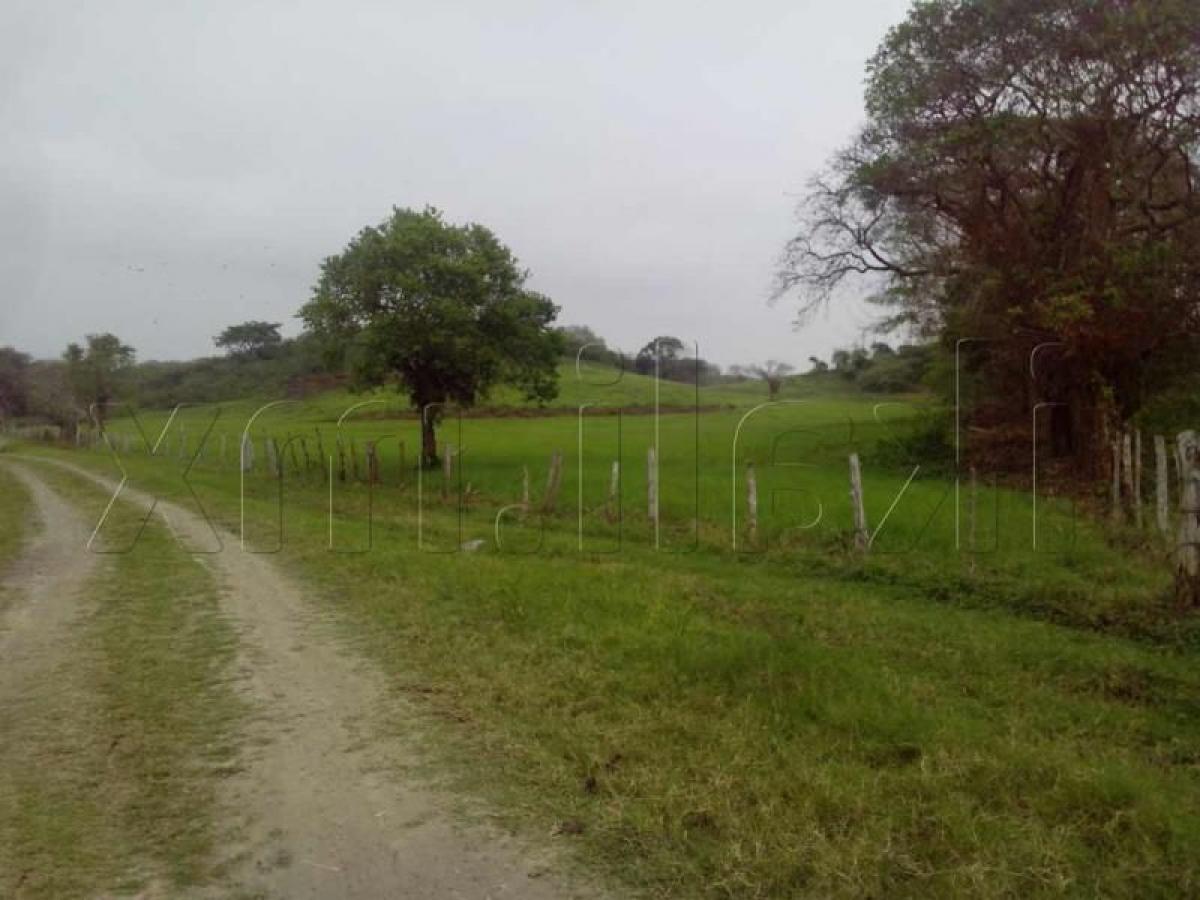 Земельный участок в Веракрус, Мексика № 206724