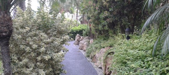 2 chambres Appartement à Marbella, Spain No. 93687 9