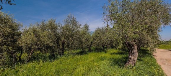 2 bedrooms House in Casciana Terme Lari, Italy No. 79789 3