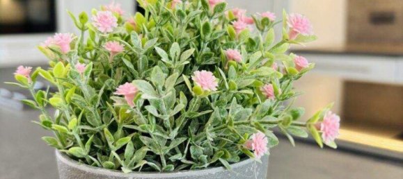 4 rooms Apartment in Gries, Austria No. 28355 3