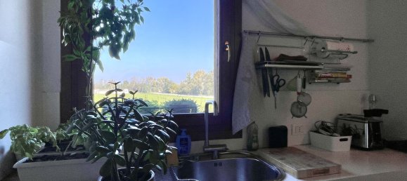 1 bedroom Apartment in Ozzano dell'Emilia, Italy No. 125502 9