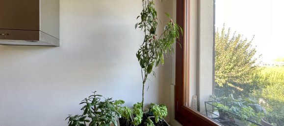 1 bedroom Apartment in Ozzano dell'Emilia, Italy No. 125502 6