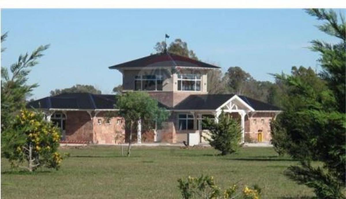 Terreno em Brandsen, Argentina N.º 49940