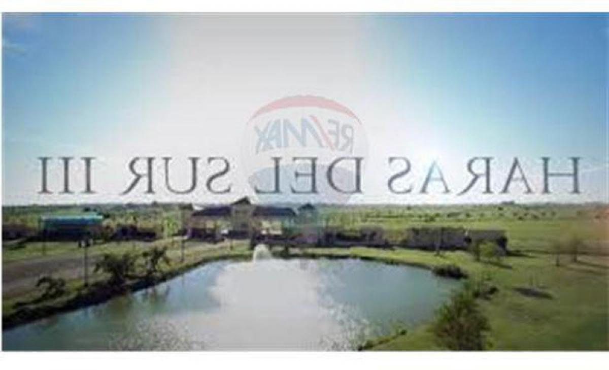  Land in Brandsen, Argentina No. 38335