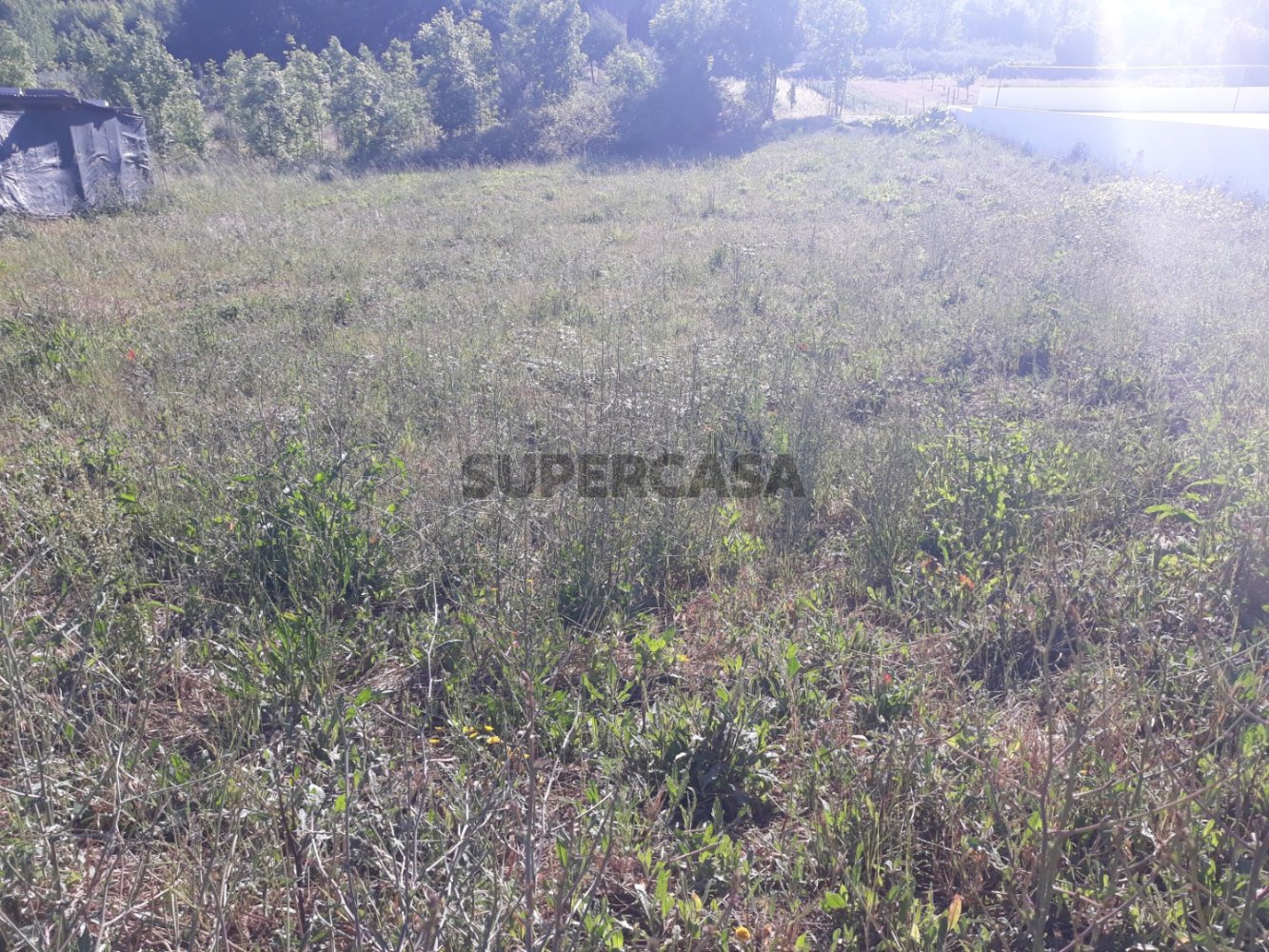 Grundstück in Sangalhos, Portugal, Nr. 165891