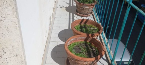 8 rooms Apartment in Piombino, Italy No. 70388 13