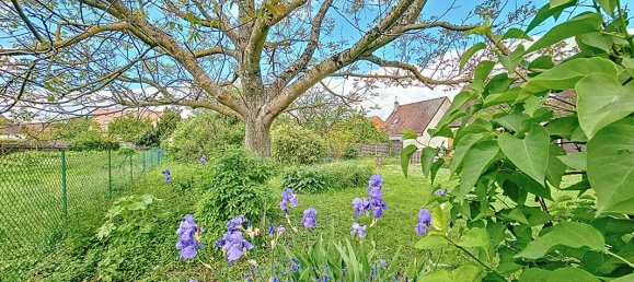 Grundstück in Seine-et-Marne, France 450m², Nr. 330414 7